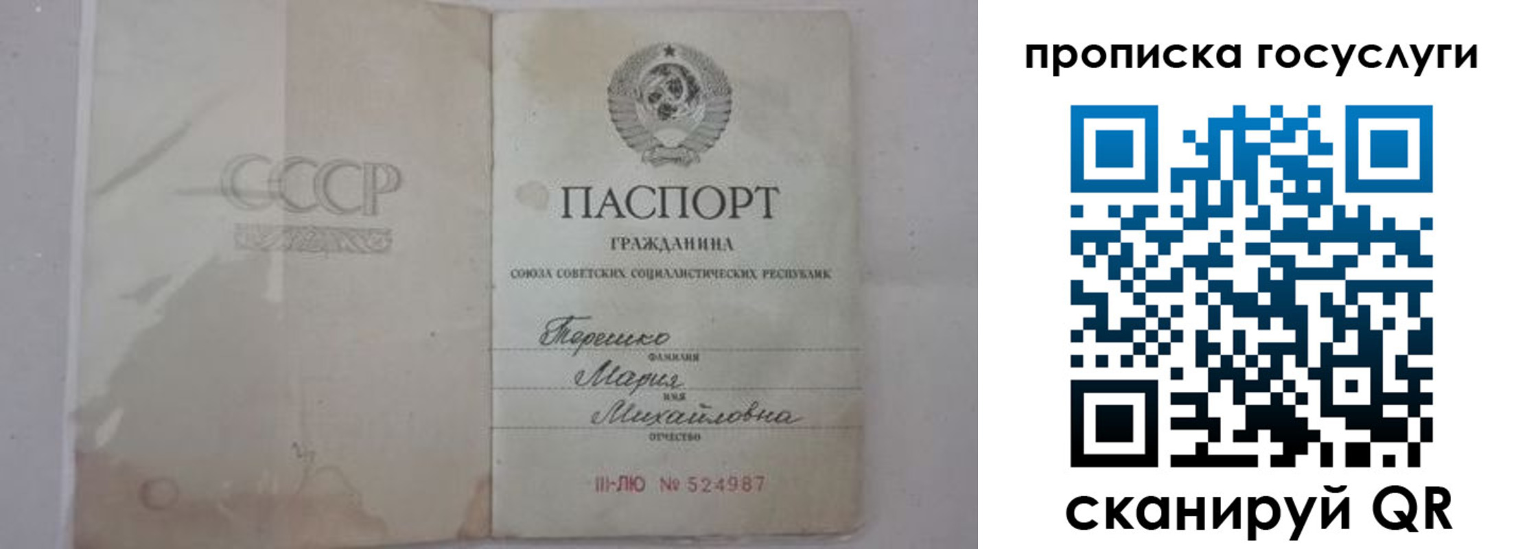 прописка ребенка в Петровск-Забайкальском